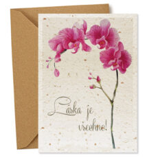 Blahopraní-k-svatbe